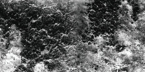 Obraz premium The sheer density and intricacy of the texture are brought into sharp focus in this detailed black and white photograph. 