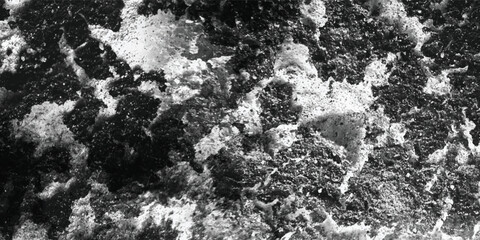 A high-contrast visual narrative focusing on the unique textural identity of this particular material.
