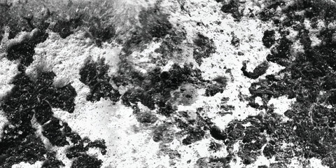 Exploring the subtle gradations of tone and texture within a monochromatic image, revealing a wealth of detail.
