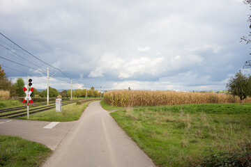 A country landscape with corn fields and a walking path in Germany. A rural landscape in Germany...
