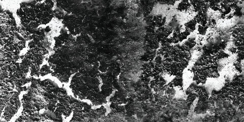 Exploring the subtle nuances of surface texture and tonal variation within a carefully composed grayscale image.
