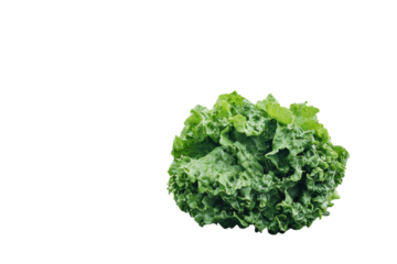 Lush green lettuce on a misty beach serene coastal scene with soft light and blurred background