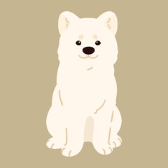 Simple and adorable flat colored white Akita Dog sitting in front view