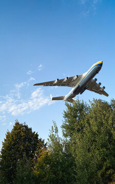 An-225 cargo plane on final approach to airport runway. Looking up at the underside of huge six-engined Mriya airplane flying over trees. Hostomel, Ukraine - August 22 2021.