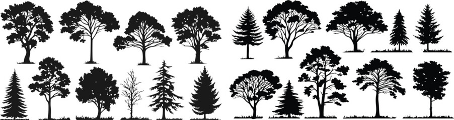Obraz premium Silhouettes of trees, black and white illustration, variety of tree species, coniferous and deciduous, detailed branches and foliage, botanical art, park landscape elements, vector graphics style, min