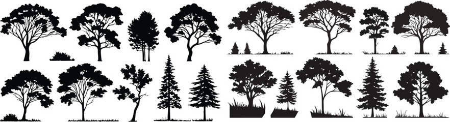 Fototapeta premium Silhouettes of trees, black and white illustration, variety of tree species, coniferous and deciduous, detailed branches and foliage, botanical art, park landscape elements, vector graphics style, min