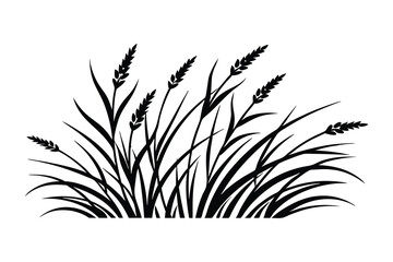 Obraz premium Grass silhouette on a white background