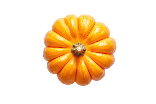 Vibrant orange pumpkin autumn harvest symbol bright fall colors clean white background