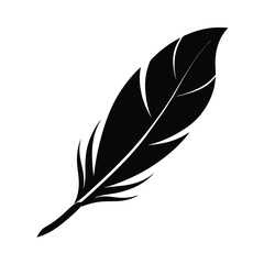 Fototapeta premium feather