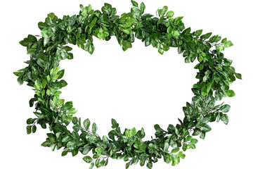 Obraz premium Lush green leaf garland perfect spring decor bright vibrant foliage natural oval shape isolated on