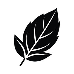 black and white leaves