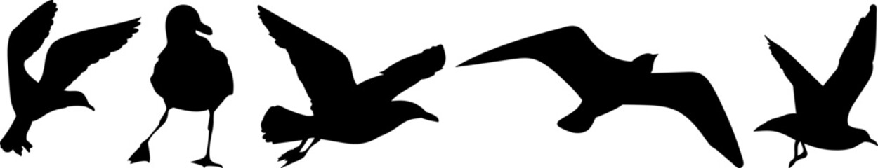 set silhouette seagulls flying in different angles, vector