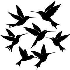  Flying hummingbirds Set. Vector illustration silhouettes of birds
