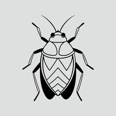black and white beetle