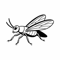 vector illustration of a mosquito