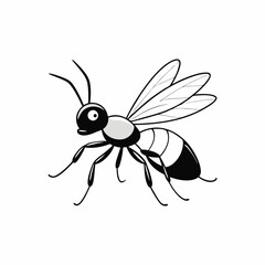 mosquito cartoon illustration