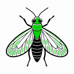 vector illustration of a fly