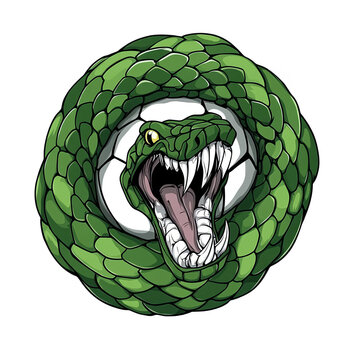 Green Snake Illustration Coiled Around A White Football Isolated On Black