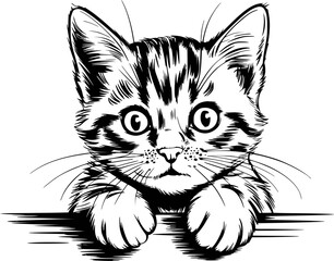 Cute Cat SVG | Curious Kitten Clipart | Cat Svg 