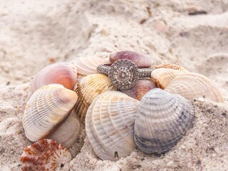 shell on the beach with ring