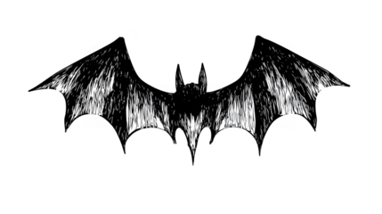 Isolated Black And White Bat Wings Silhouette Symbol Graphic Icon Art