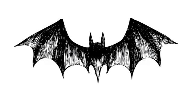 Isolated Black And White Bat Wings Silhouette Symbol Graphic Icon Art