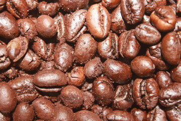 close up photo of coffee bean