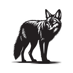 Coyote Silhouette - Minimalist Coyote Animal Design - Coyote Vector - Illustration Of Coyote.