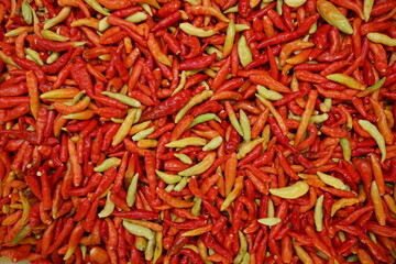 Fototapeta premium lot of chilli red hot peppers