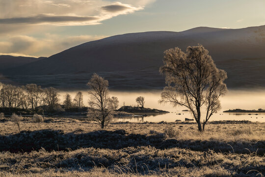 Frosty trees along the water's edge with moorland behind,  near Loch Ba, Argyll and Bute, Highlands, Scotland, UK. November, 2023. 