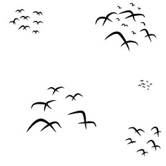 Birds vector
