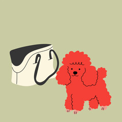 Dog sitting next to pet carrier. Flat vector illustration for dog travel, pet transportation, veterinary visit, animal care, adoption, shelter, pet shop or pet-friendly design themes.