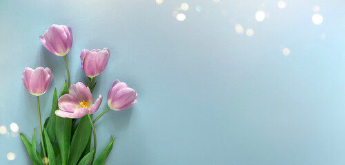 Pink tulips flower bouquet on light blue background with bokeh, light. Wide floral banner. Greeting card, Valentines day, 8 march, Womens day, Mothers day, top view
