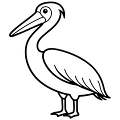 Graceful Pelican Line Drawing