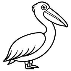 Graceful Pelican Line Drawing