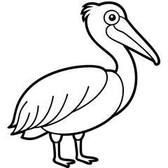 Fototapeta premium Graceful Pelican Line Drawing