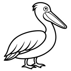 Graceful Pelican Line Drawing