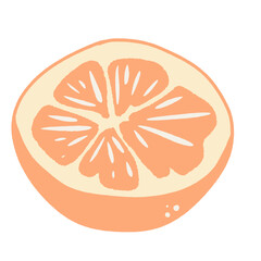 a sliced of orange Hand drawn illustration Easter Clipart element Invitations, gifts, greeting cards, print, textile