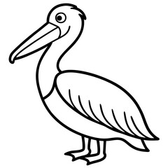 Graceful Pelican Line Drawing