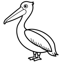 Graceful Pelican Line Drawing