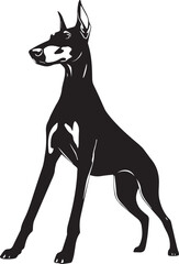 Doberman. Hand drawn vector illustration	