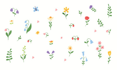 Set of spring and summer hand drawn flowers. Floral elements, wildflower, leaves and herb, plants, foliage on white background. Collection spring blossom icons