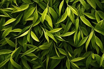 Fototapeta premium Hand picked tea leaves collected for processing in a lush garden Generative AI