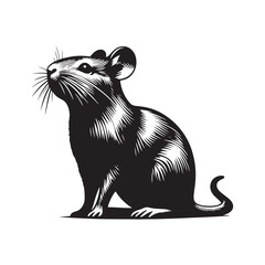 Degu Silhouette - Degu Vector - Illustration of Degu. - Minimalist Degu Design.