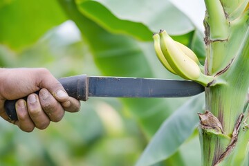 Machete cuts through banana tree in a tropical garden setting Generative AI