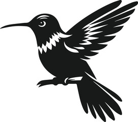 Hummingbird silhouette vector