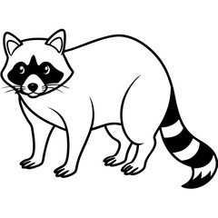 Minimalist Raccoon Vector Art