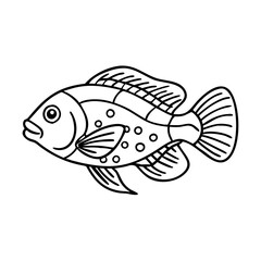 firemouth cichlid fish icon, firemouth cichlid fish line art - simple line art of firemouth cichlid fish, perfect for firemouth cichlid fish logos and icons