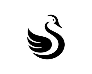 black swan vector © Mamun360