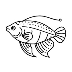 pearl gourami fish icon, pearl gourami fish line art - simple line art of pearl gourami fish, perfect for pearl gourami fish logos and icons